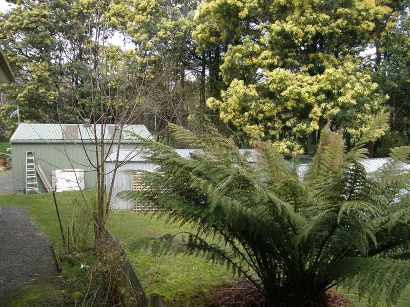 135 Castle Forbes Road, Castle Forbes Bay TAS 7116