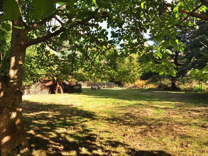 135 Castle Forbes Road, Castle Forbes Bay TAS 7116