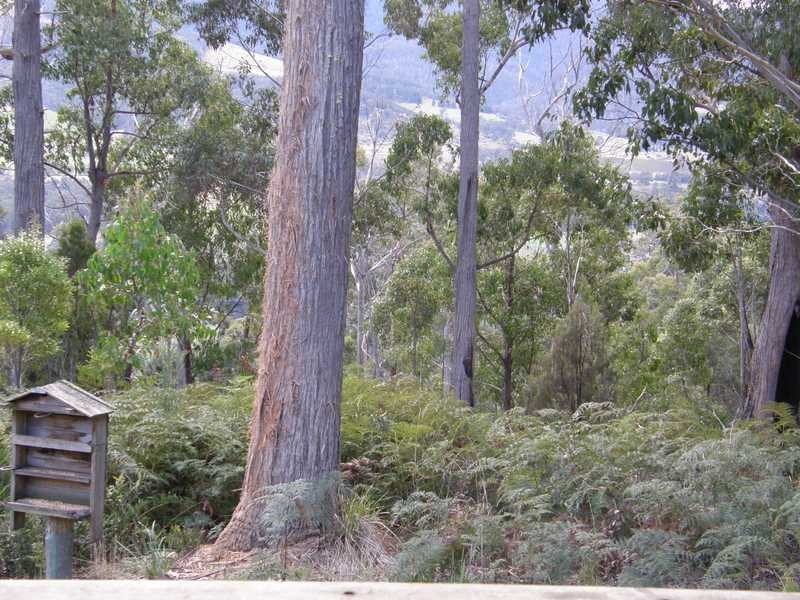 Glen Huon TAS 7109