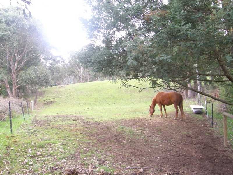 Upper Woodstock TAS 7150