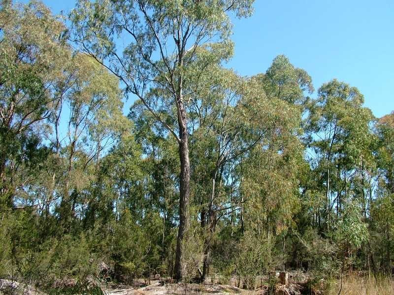 15 Drip Beach Road, Lymington TAS 7109