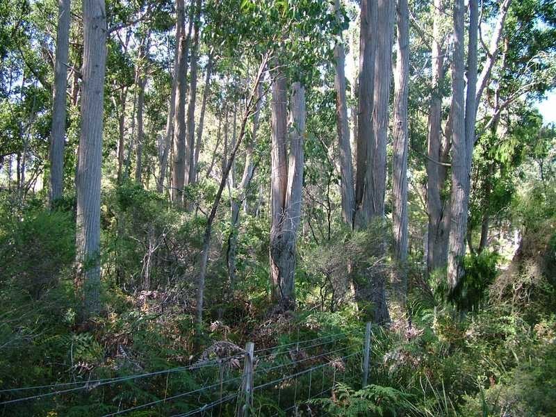 15 Drip Beach Road, Lymington TAS 7109