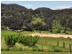 281 Golden Valley Road, Cygnet TAS 7112