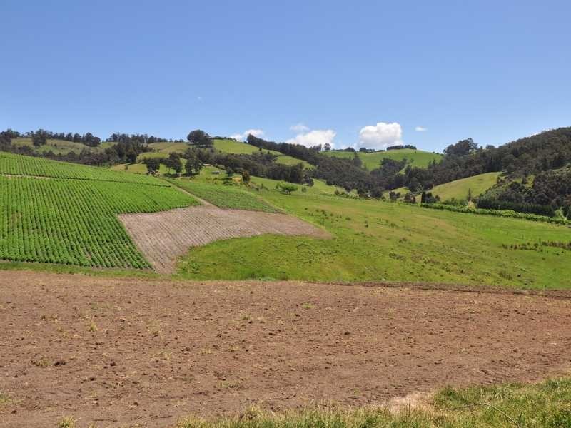 281 Golden Valley Road, Cygnet TAS 7112
