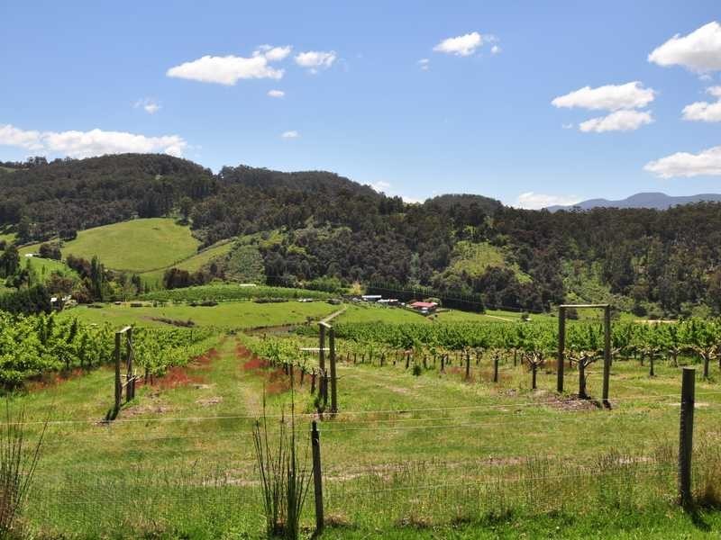 281 Golden Valley Road, Cygnet TAS 7112