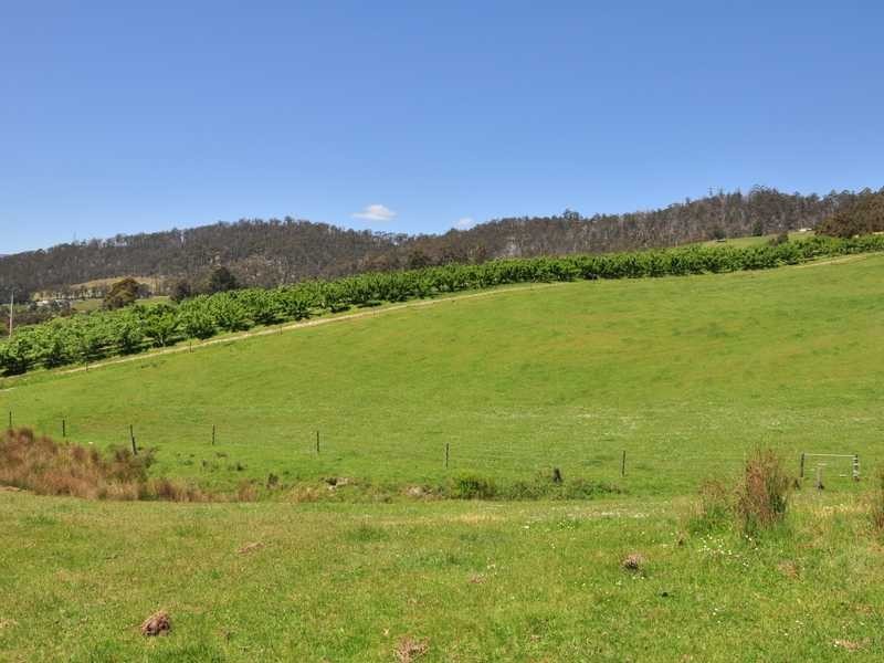 281 Golden Valley Road, Cygnet TAS 7112