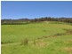 281 Golden Valley Road, Cygnet TAS 7112