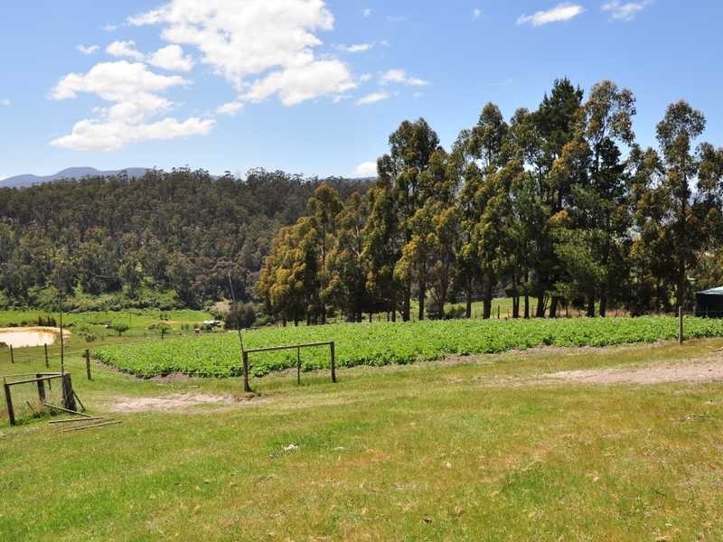 281 Golden Valley Road, Cygnet TAS 7112