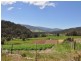 281 Golden Valley Road, Cygnet TAS 7112