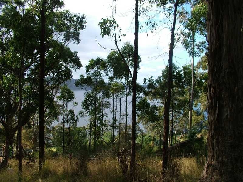 Lot 3 386 Lymington Road, Lymington TAS 7109