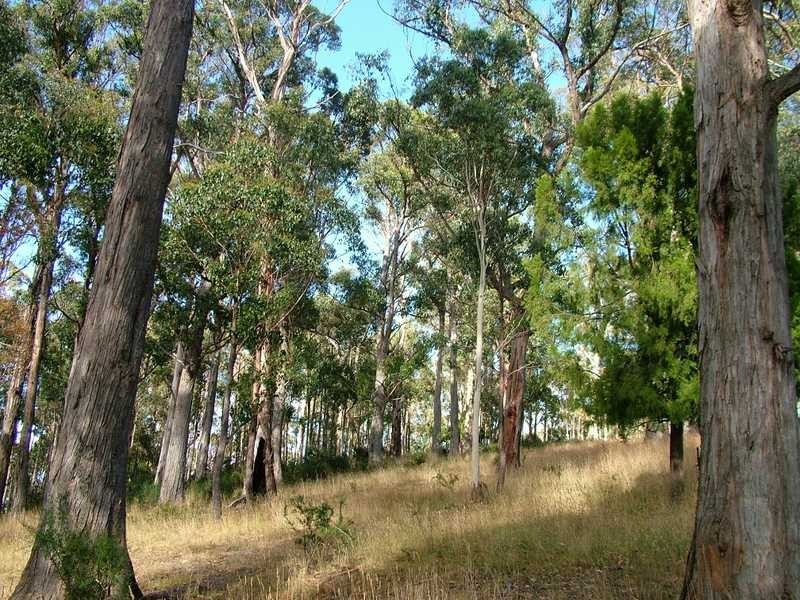 Lot 3 386 Lymington Road, Lymington TAS 7109