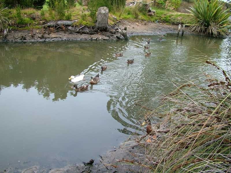 19 Vincent Avenue, Verona Sands TAS 7112