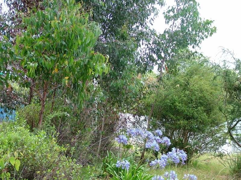 19 Vincent Avenue, Verona Sands TAS 7112