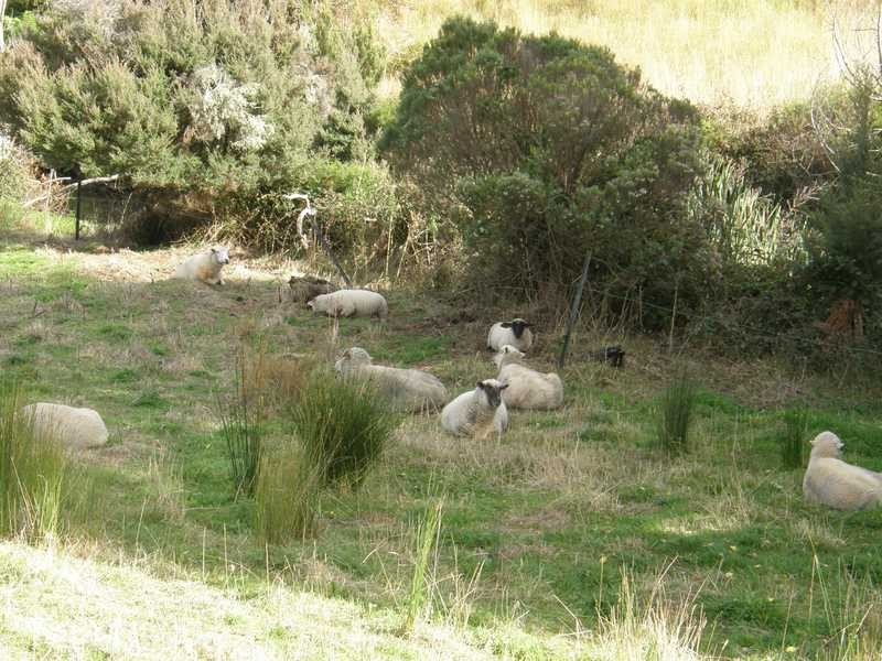 Geeveston TAS 7116