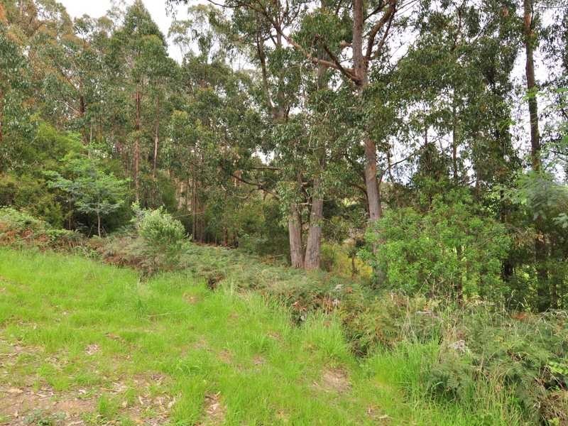 RA Golden Valley Road, Cygnet TAS 7112