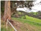 RA Golden Valley Road, Cygnet TAS 7112
