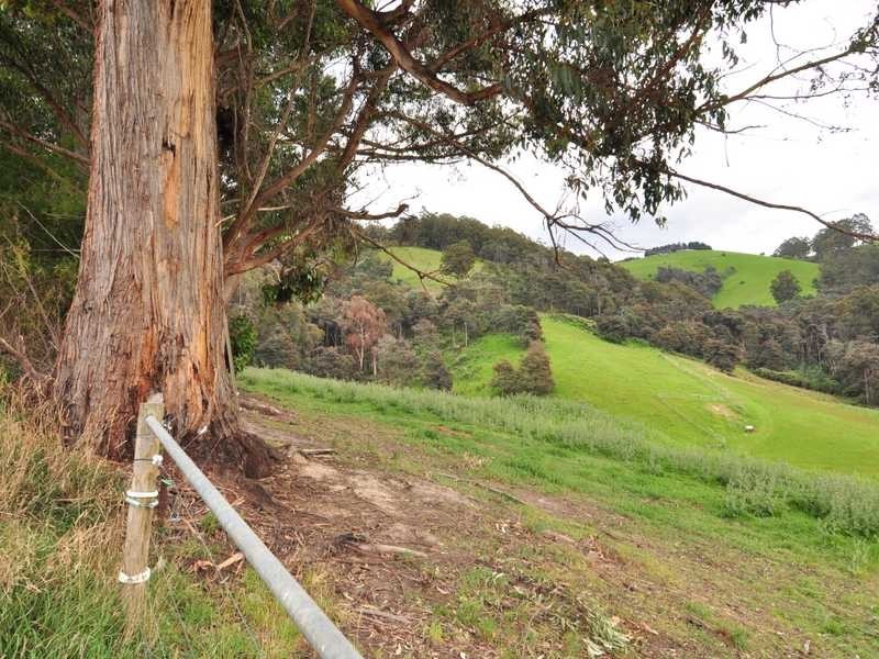 RA Golden Valley Road, Cygnet TAS 7112