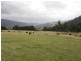 143 Nairn Road, Ranelagh TAS 7109