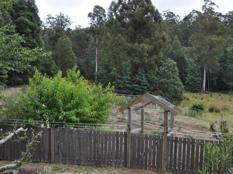 Nicholls Rivulet TAS 7112