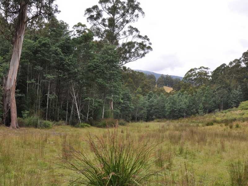 Nicholls Rivulet TAS 7112