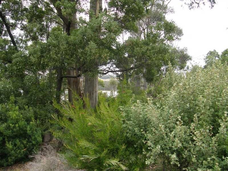 Randalls Bay TAS 7112