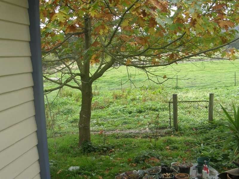 Nicholls Rivulet TAS 7112