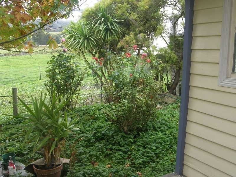 Nicholls Rivulet TAS 7112