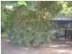 14 Nulu Street, Bongaree QLD 4507