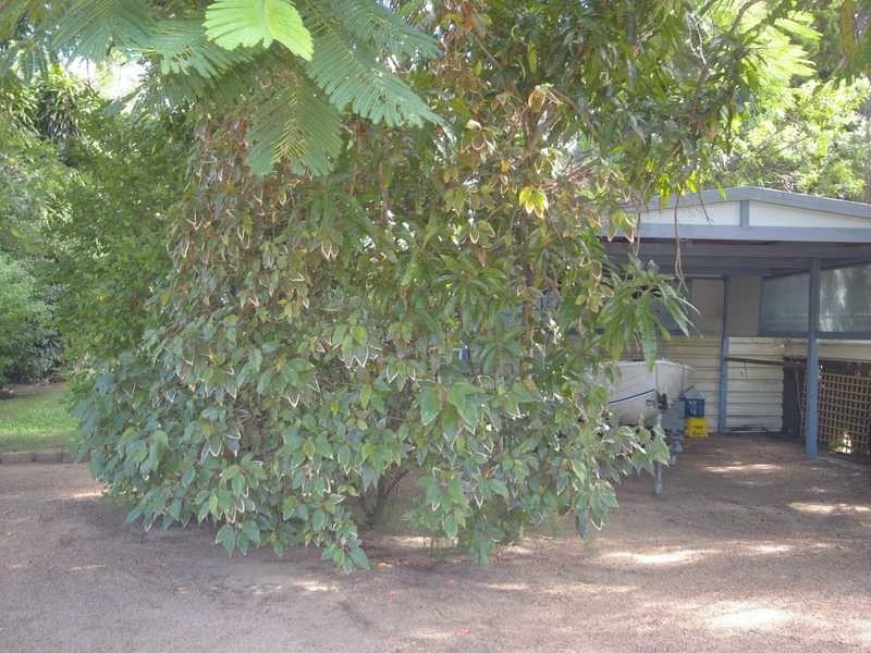 14 Nulu Street, Bongaree QLD 4507