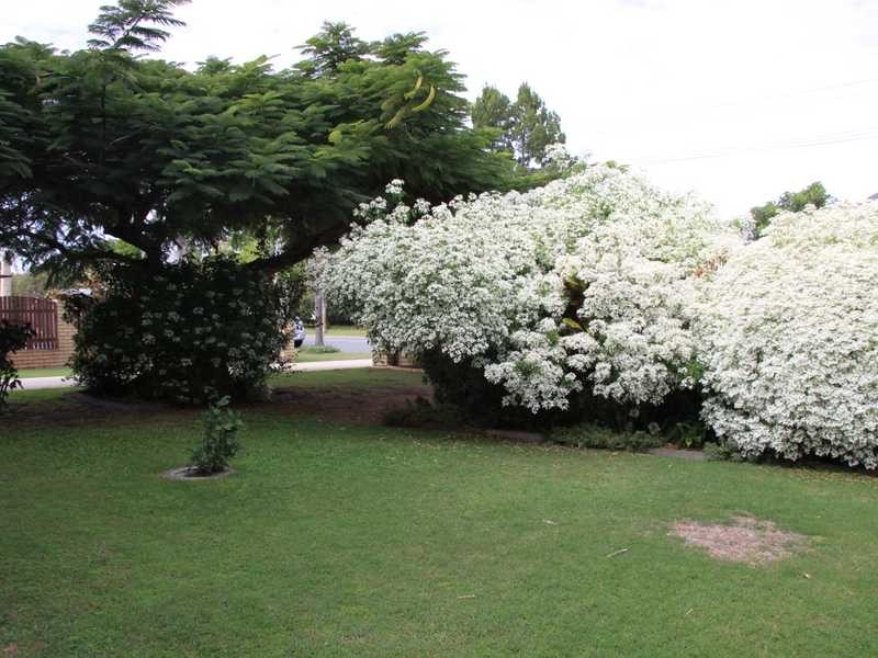 3 Elkhorn Avenue, Bellara QLD 4507