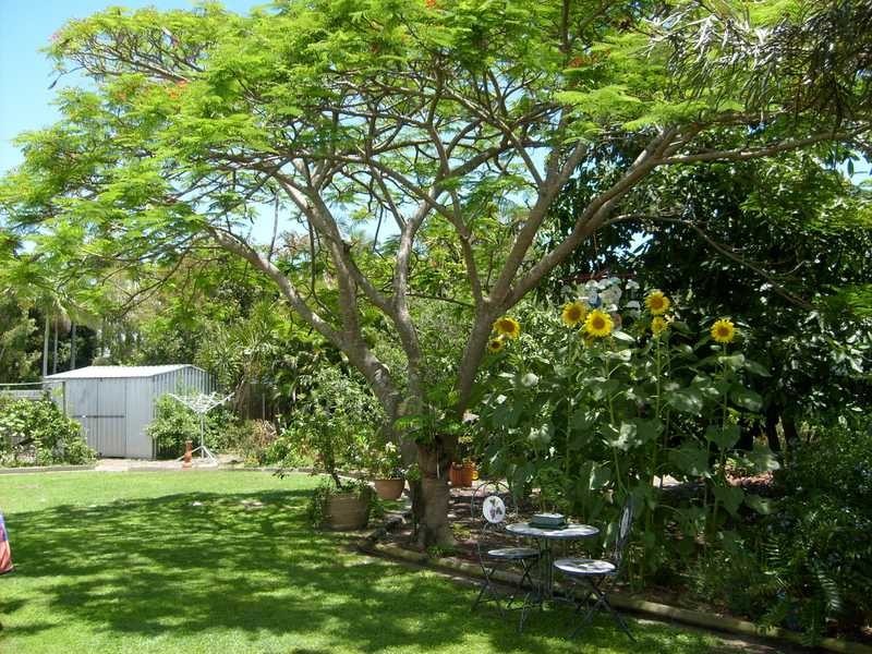 5 Taylor Street, Bongaree QLD 4507