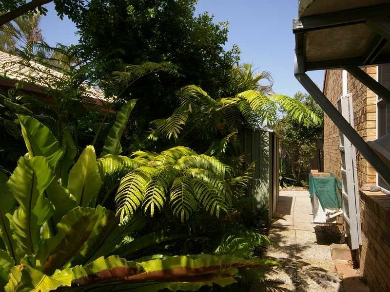 82 Campbell St, Bongaree QLD 4507