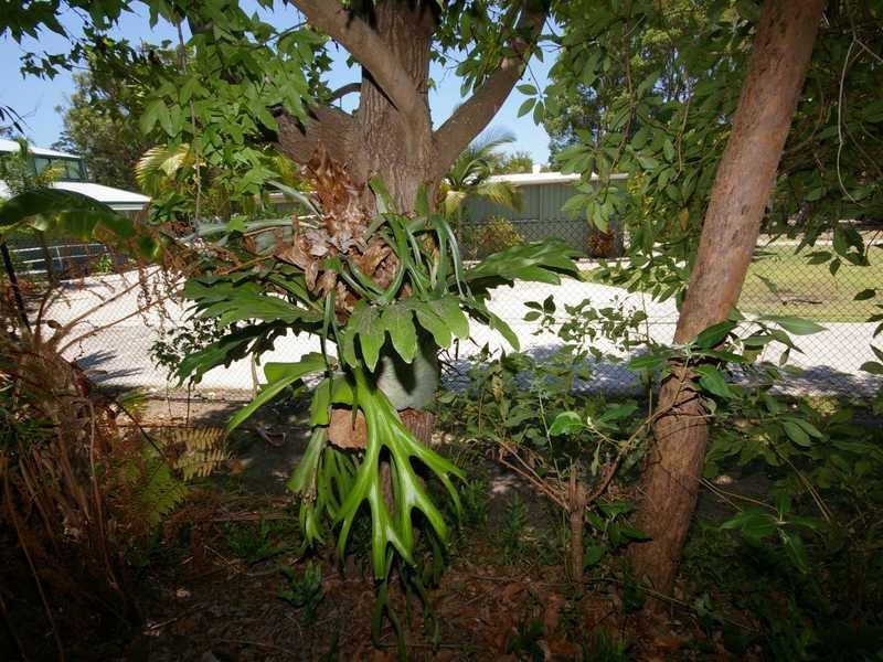 Site 205 Bongaree Caravan Park, Bongaree QLD 4507