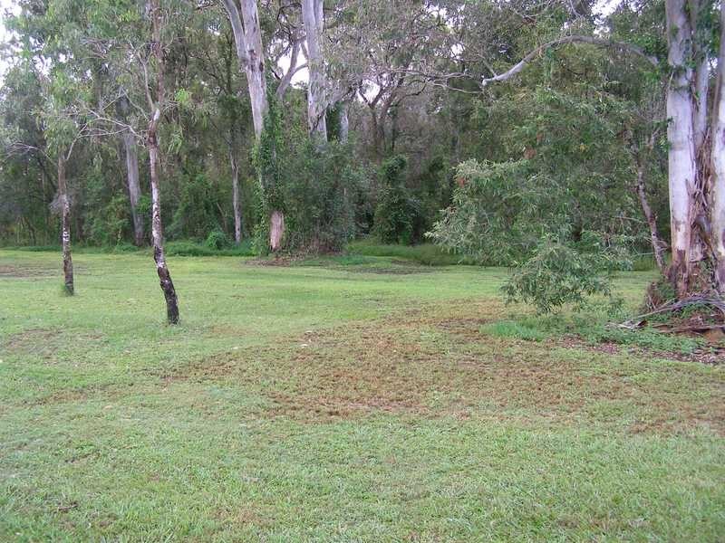 39 Verdoni Street, Bellara QLD 4507