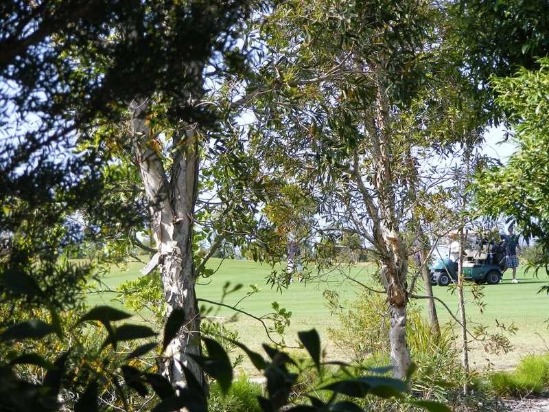 211 Endeavour Drive, Banksia Beach QLD 4507