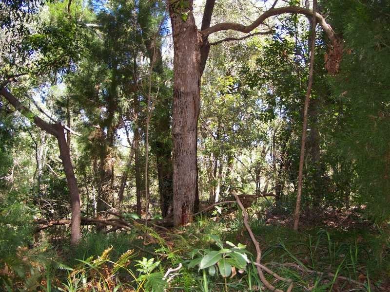 45 The Boulevarde, Bongaree QLD 4507