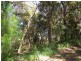 45 The Boulevarde, Bongaree QLD 4507