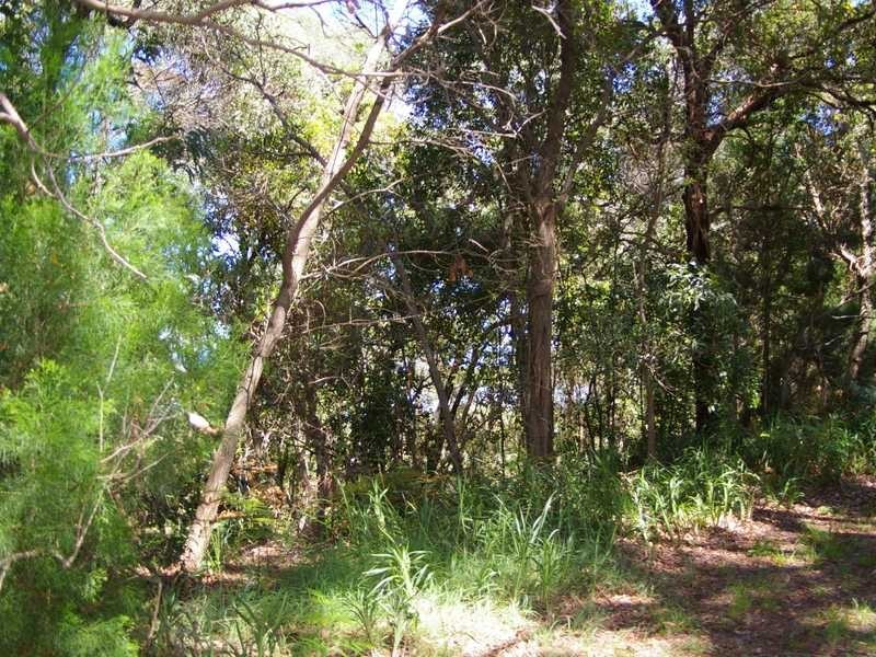 45 The Boulevarde, Bongaree QLD 4507