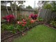 8 Winterbrook Court, Caboolture QLD 4510