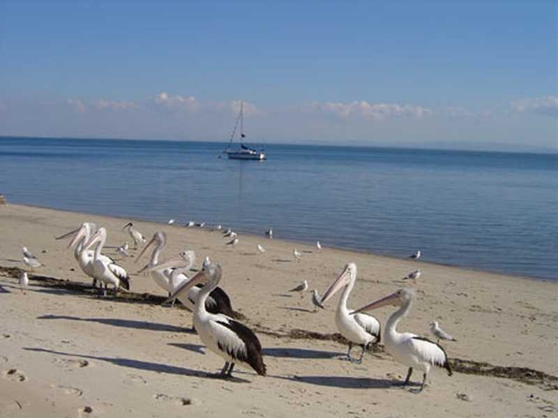 Unit 21/23 Sylvan Beach Esplanade, Bellara QLD 4507