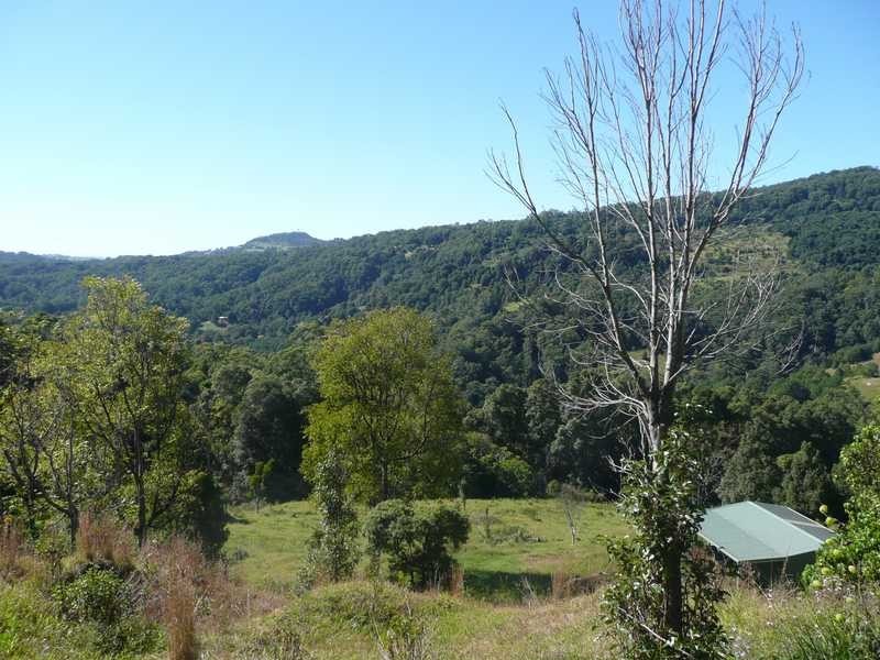 1488 Currumbin Creek Road, Currumbin Valley QLD 4223