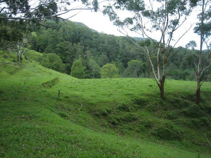 1488 Currumbin Creek Road, Currumbin Valley QLD 4223