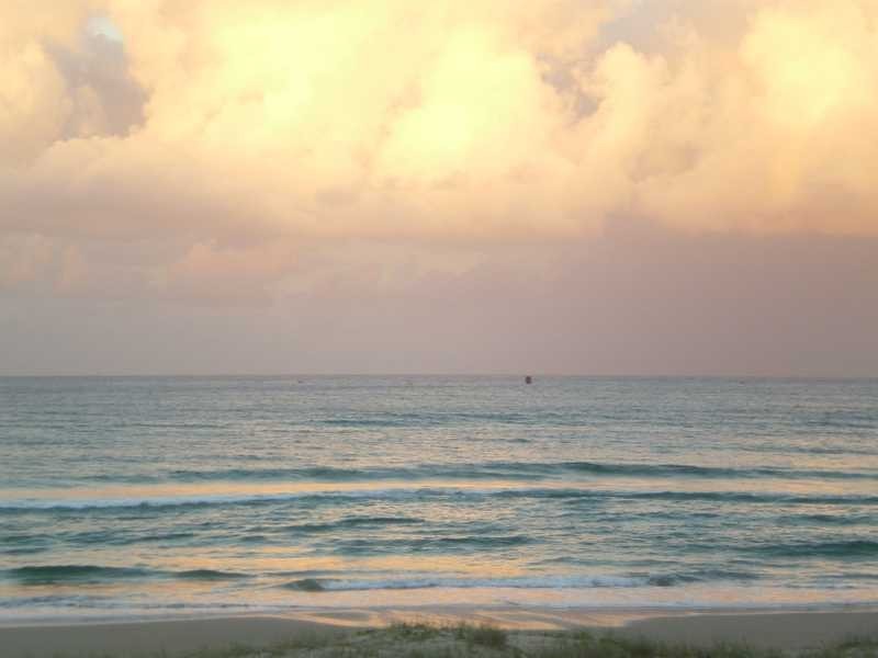 Tugun QLD 4224