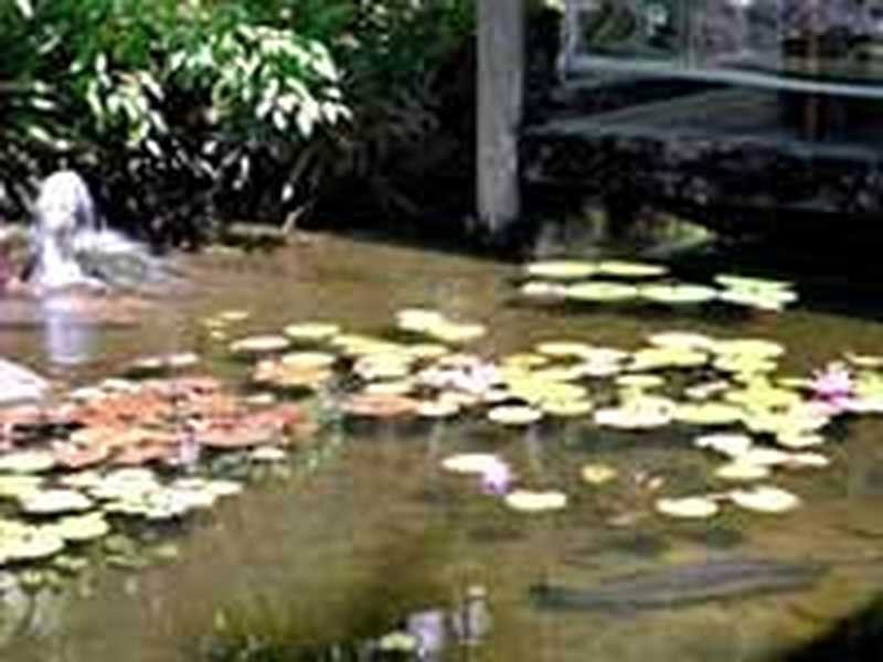 316 Port Douglas Road, Port Douglas QLD 4877