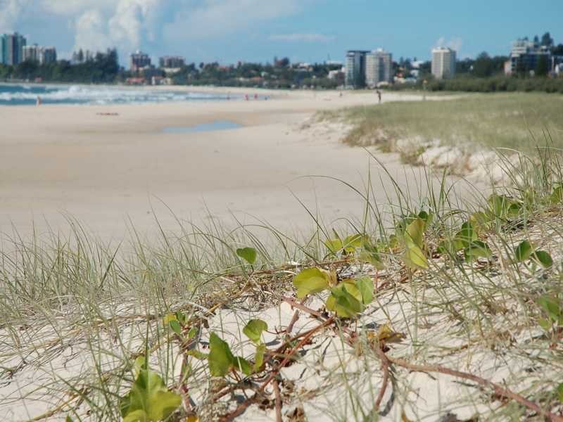 Unit 2/220 Pacific Parade, Bilinga QLD 4225
