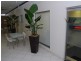 Lot/9/56 Griffith Street, Coolangatta QLD 4225
