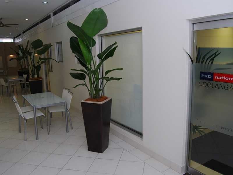 Lot/9/56 Griffith Street, Coolangatta QLD 4225