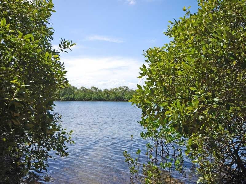 54 Dry Dock Road, Tweed Heads South NSW 2486