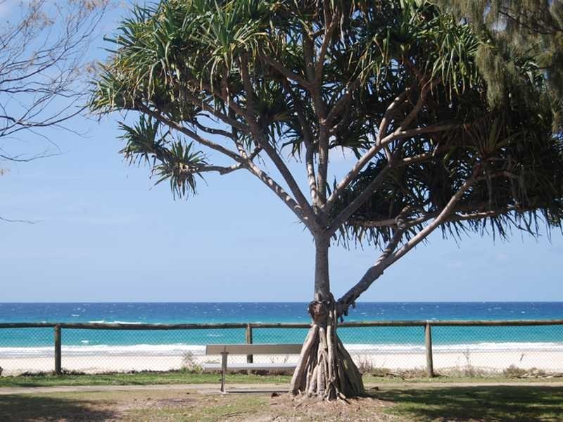 3/153 Golden Four Drive, Bilinga QLD 4225