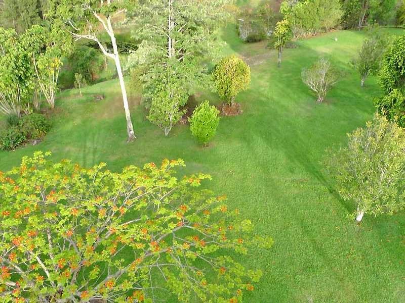 323 Mount Burrell Road, Mount Burrell NSW 2484